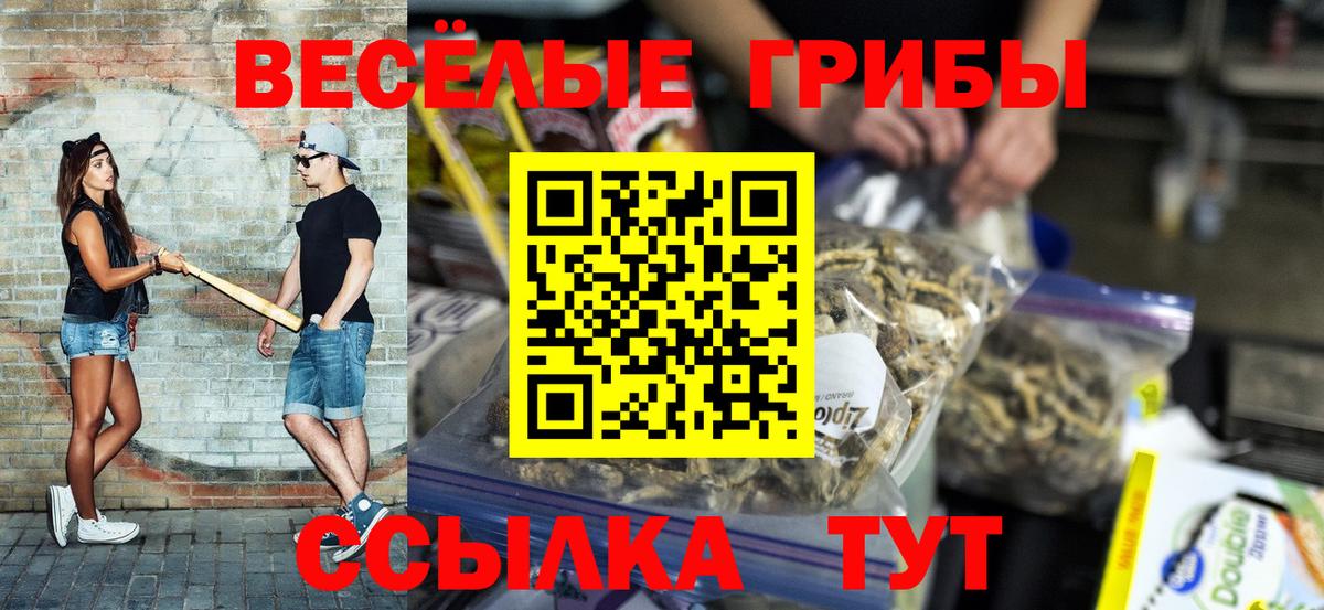 Галлюциногенные грибы ЛСД Зерноград