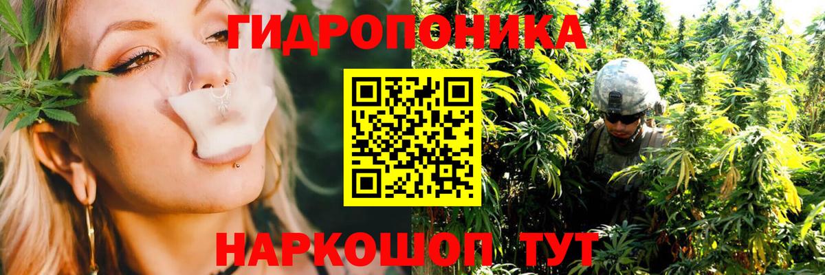 Канабис конопля  МАРИХУАНА семена  Канабис семена  Зерноград  Вход с VPN 