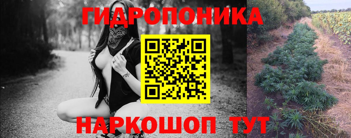 МАРИХУАНА ГИДРОПОН Зерноград